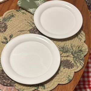 Elegant White salad Plates